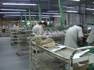 爱玛与巴西著名鞋楦厂深入交流，共探制鞋技术新高度